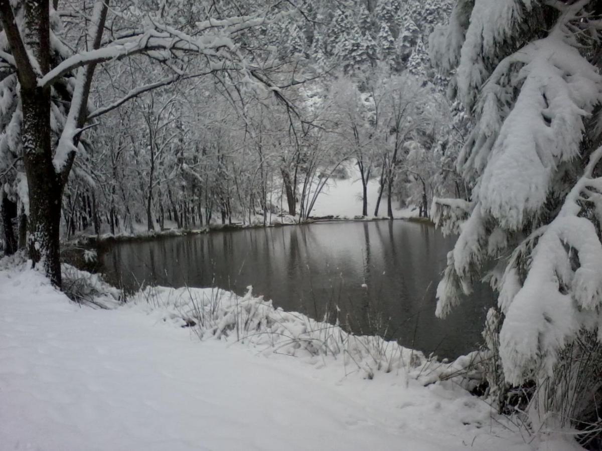 Casa Rural Las Nogueras Caserio Arroyofrio Екстер'єр фото
