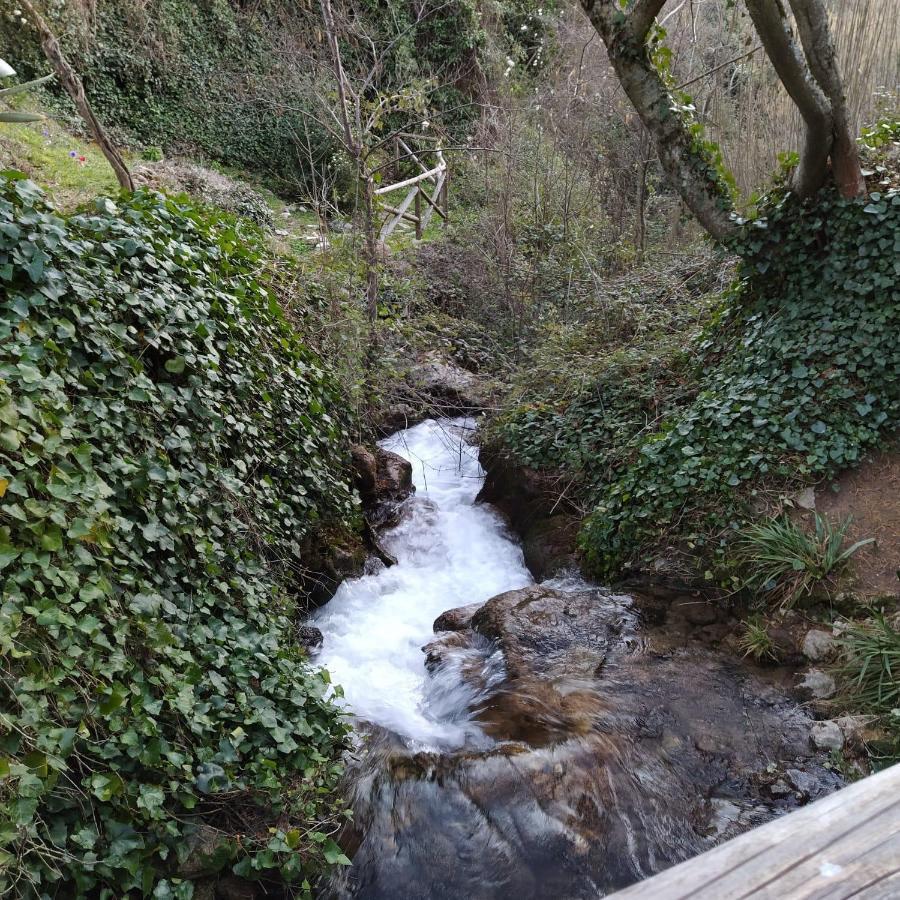 Casa Rural Las Nogueras Caserio Arroyofrio Екстер'єр фото