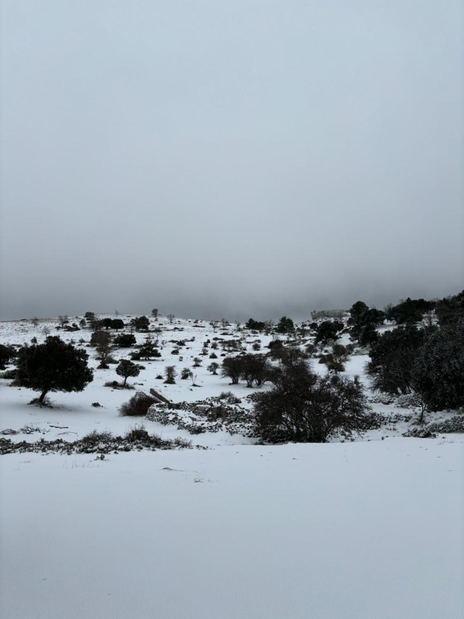 Casa Rural Las Nogueras Caserio Arroyofrio Екстер'єр фото
